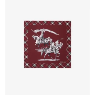 Archive Knight Silk Scarf