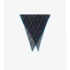 Belt Check Silk Chiffon Scarf