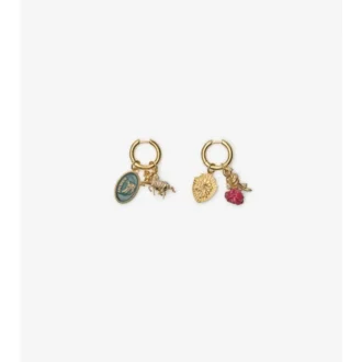Charm Hoop Earrings 