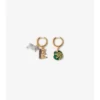 Charm Hoop Earrings 