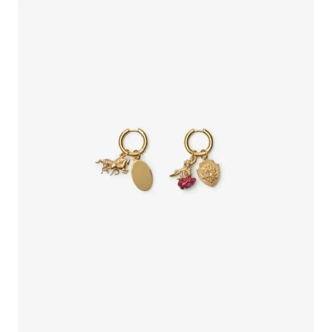 Charm Hoop Earrings 