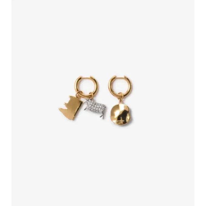 Charm Hoop Earrings 