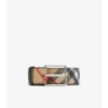 Check Belt