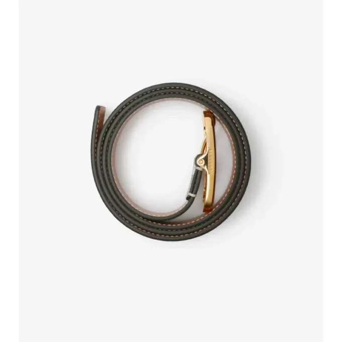 Check Belt