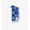 Check Cashmere Scarf