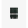 Check Cashmere Scarf