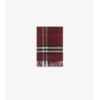 Check Cashmere Scarf
