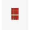 Check Cashmere Scarf