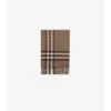 Check Cashmere Scarf