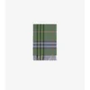 Check Cashmere Scarf