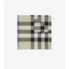 Check Cashmere Silk Scarf