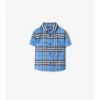Check Cotton Oxford Shirt