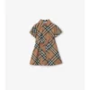 Check Cotton Shirt Dress