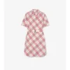 Check Cotton Shirt Dress