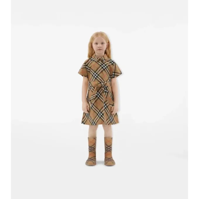 Check Cotton Shirt Dress