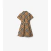 Check Cotton Shirt Dress