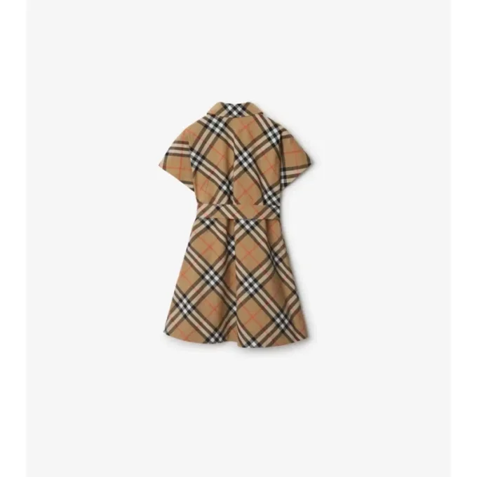 Check Cotton Shirt Dress