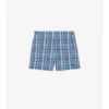 Check Seersucker Swim Shorts