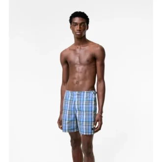 Check Seersucker Swim Shorts