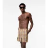 Check Seersucker Swim Shorts