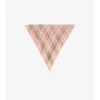 Check Silk Chiffon Scarf