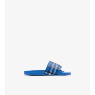 Check Slides
