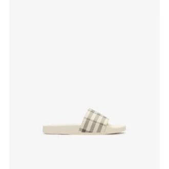 Check Slides