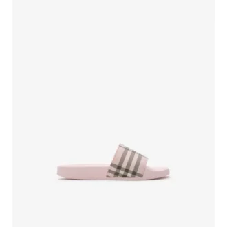 Check Slides