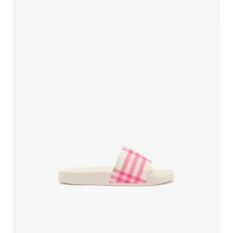 Check Slides