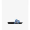 Check Slides