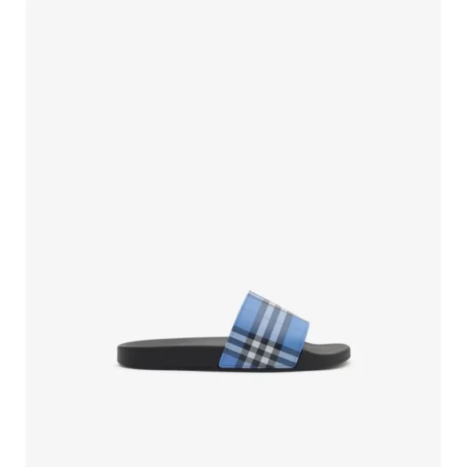 Check Slides