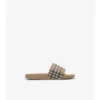 Check Slides