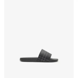 Check Slides