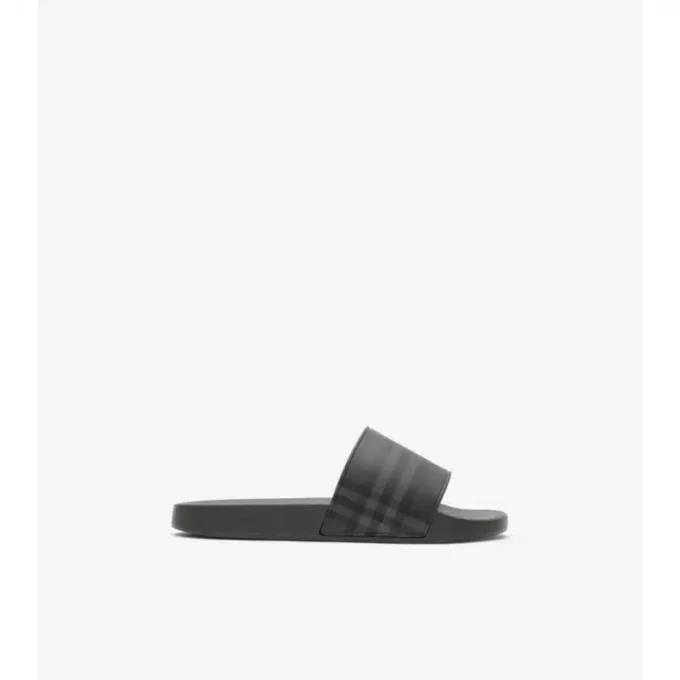 Check Slides