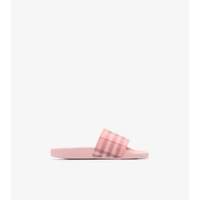 Check Slides