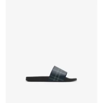 Check Slides