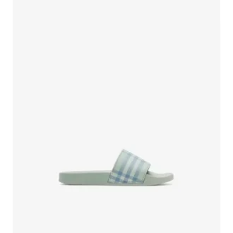Check Slides