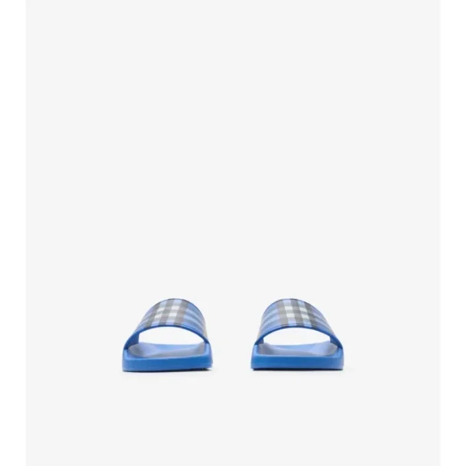 Check Slides