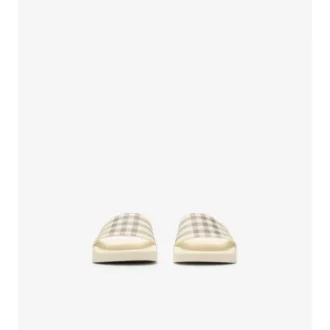 Check Slides