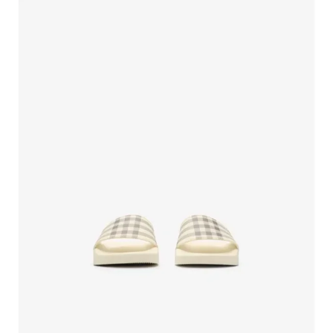 Check Slides