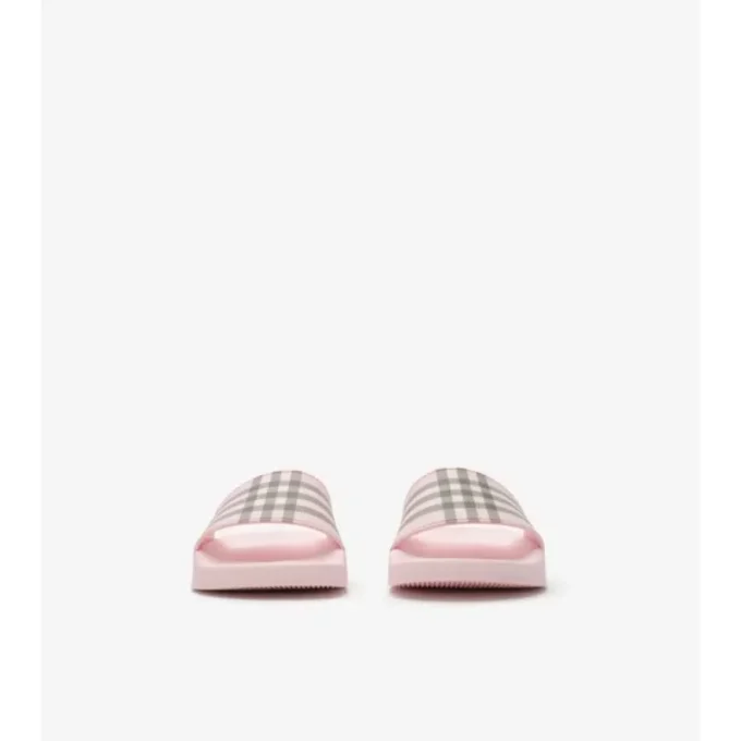 Check Slides