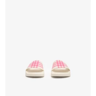 Check Slides