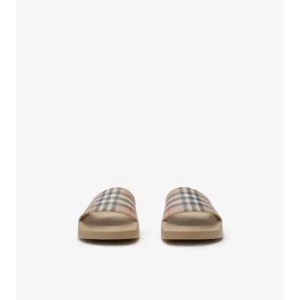 Check Slides