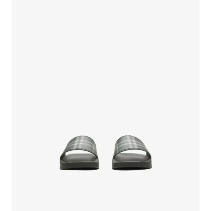 Check Slides