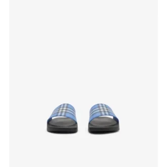 Check Slides