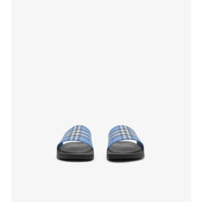 Check Slides
