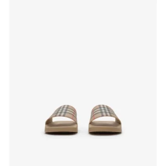 Check Slides