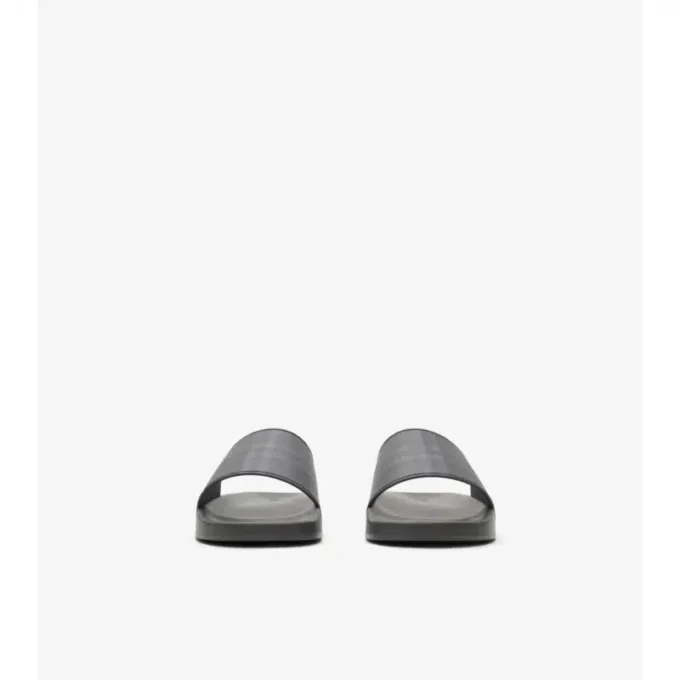Check Slides