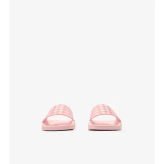 Check Slides