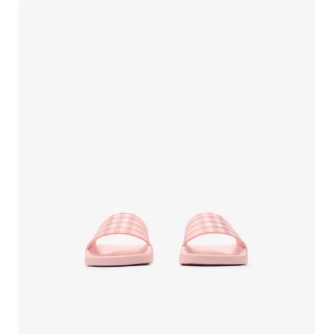 Check Slides